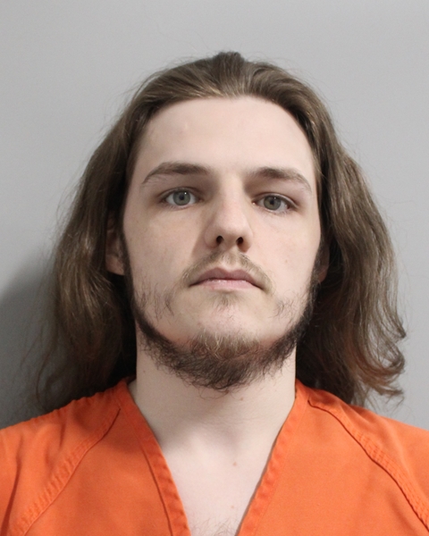 Booking photo of Aidan Palmer