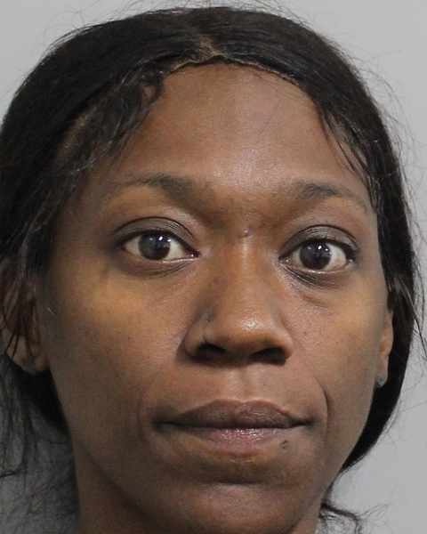 Arielle Gallon booking photo