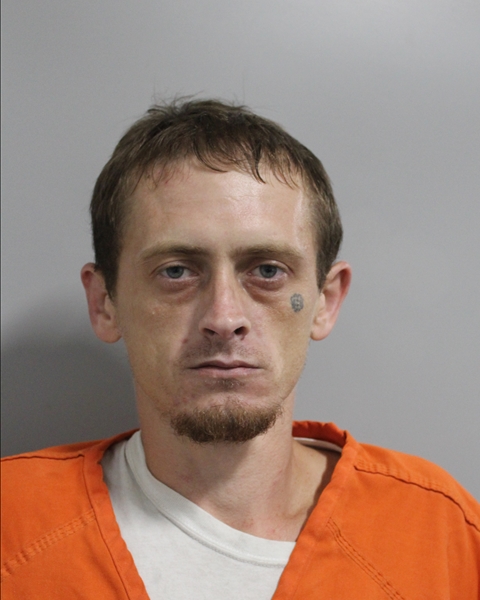 Booking photo of Brandon Hadsock