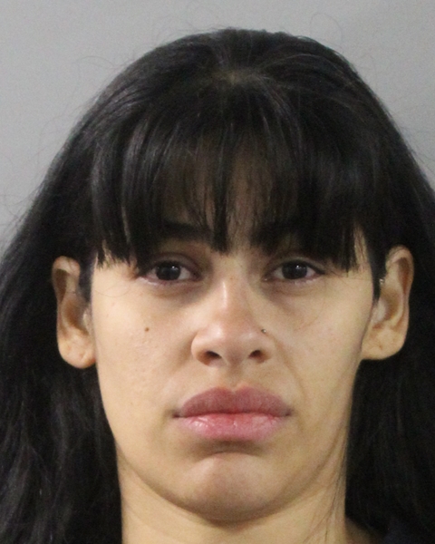 Luisana Aponte-rincon booking photo