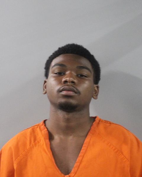 Booking photo of Gibson Louis