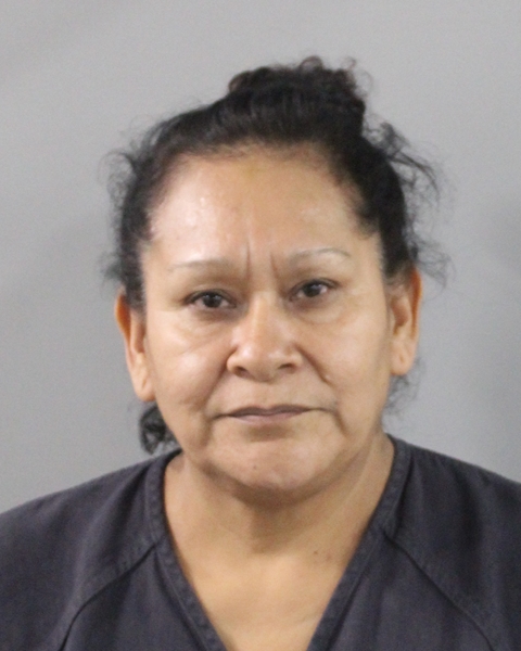 Booking photo of Ma Galvan Medina