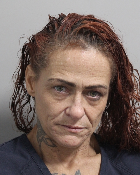Booking photo of April Morris