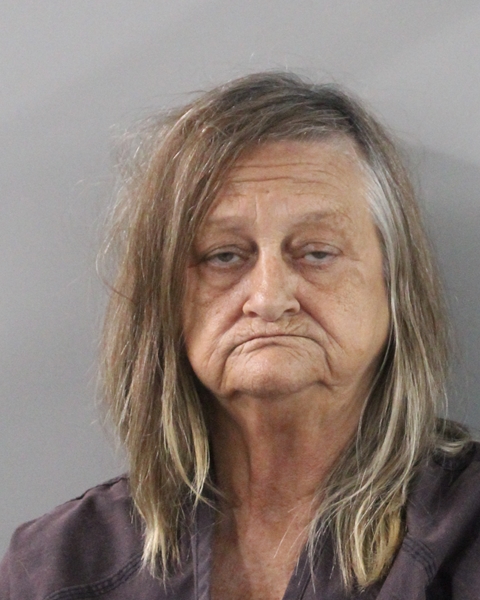 Booking photo of Patti Bradley