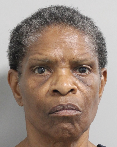 Booking photo of Paige Zanay