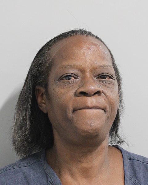 Booking photo of Audra Reynolds