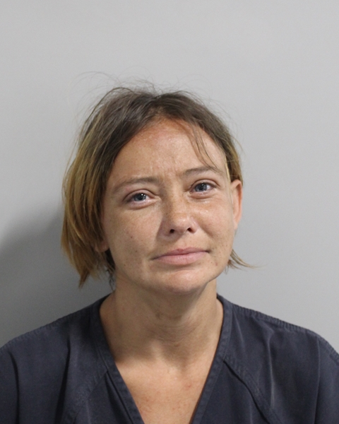 Booking photo of Gerri Clayton