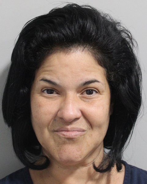 Booking photo of Joyce Padilla Aviles