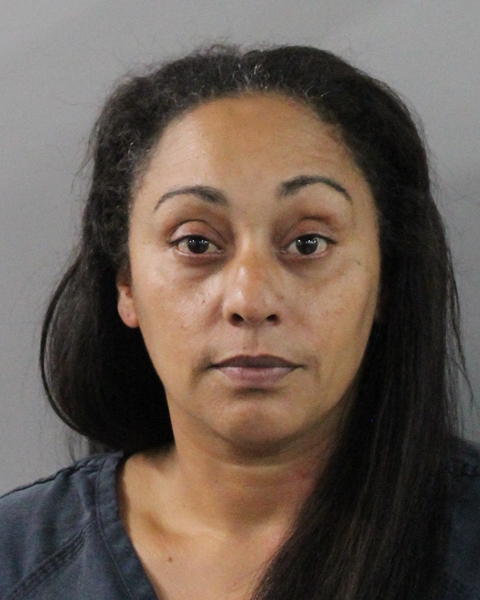 Booking photo of Erica Marchetti