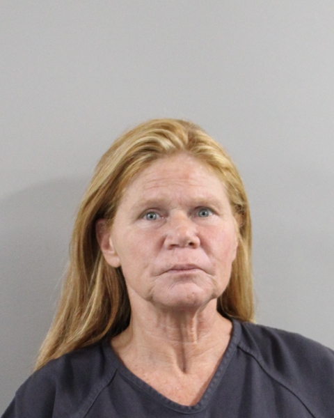 Donna Scott booking photo