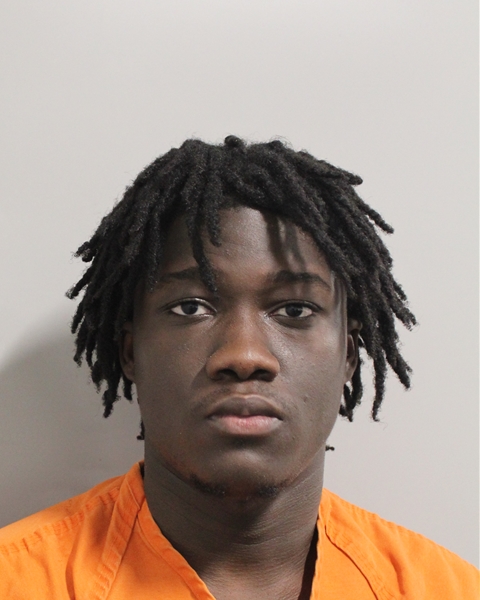Booking photo of Karl Louis
