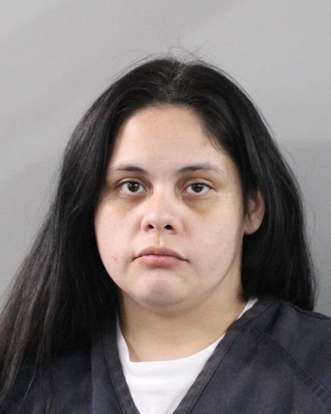 Booking photo of Debbie Scott