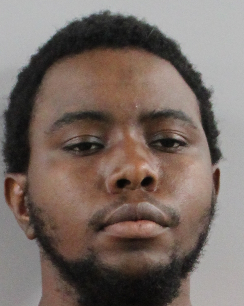 Booking photo of Dru Fields