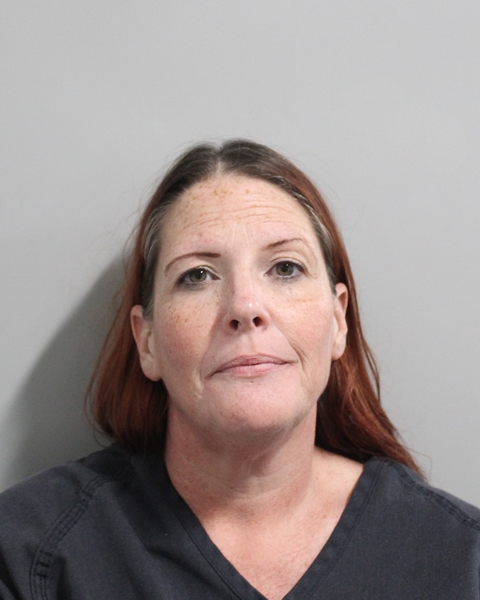 Booking photo of Jessica Fandrich