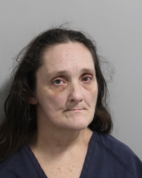 Booking photo of Brenda Catrett