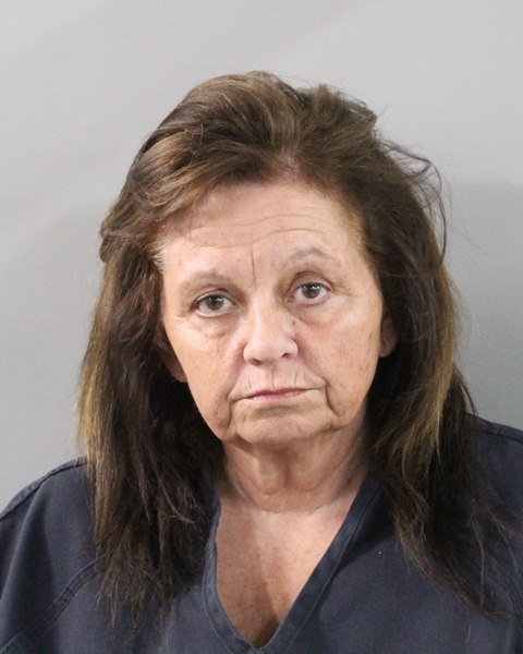 Booking photo of Gina Rea