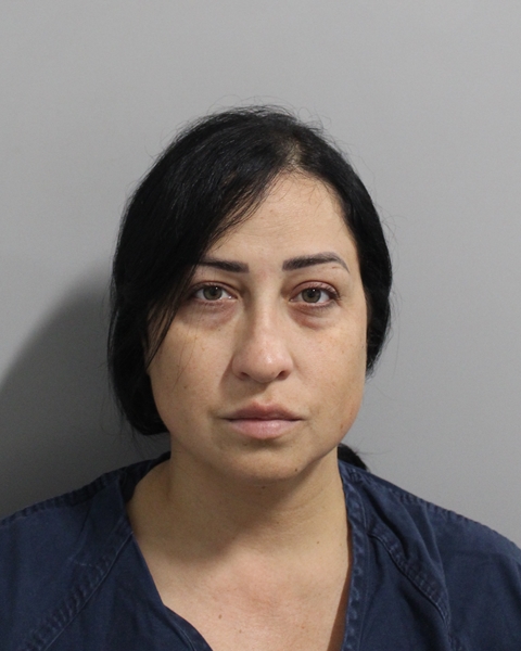 Booking photo of Lorraine Ortiz Torres