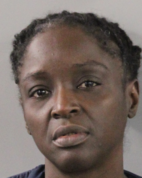 Bea-trice Brinson booking photo