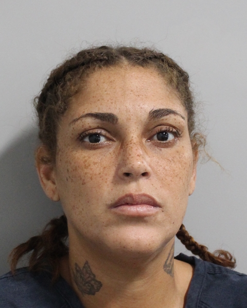 Booking photo of Iris Morales Garcia