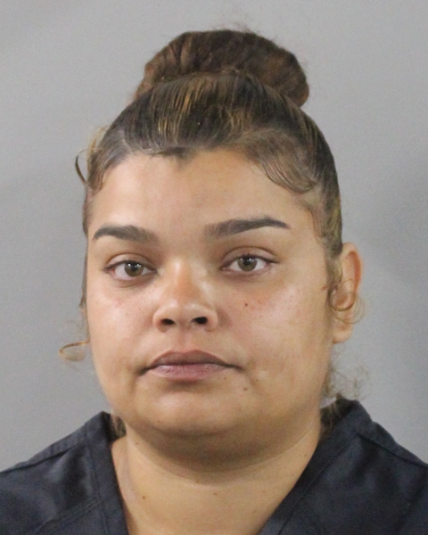 Booking photo of Damaris Soache-diaz