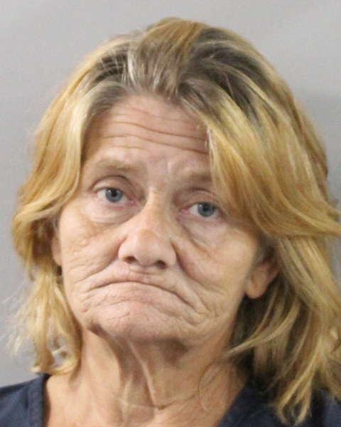 Booking photo of Brenda Farnell