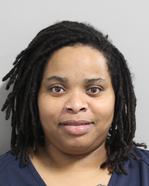 Booking photo of Aylea Smith