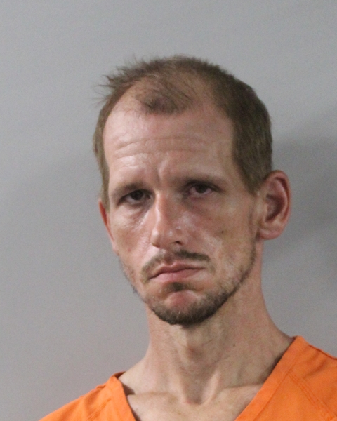 Booking photo of Martin Bryson