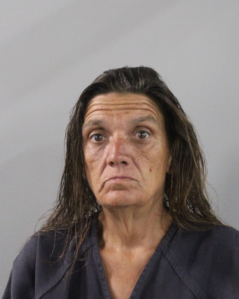 Booking photo of Annette Peranteau