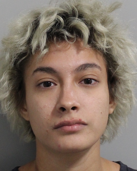 Booking photo of Lyliana Montanez