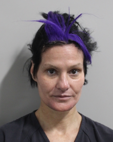 Booking photo of Bridget Theriac