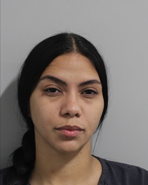 Booking photo of Eishla Vega Aviles