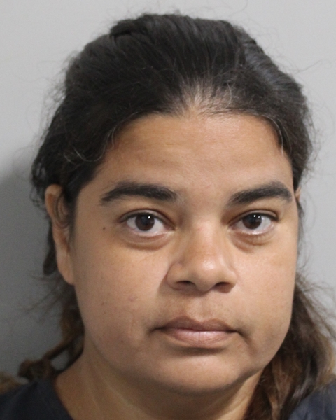 Booking photo of Tatiana Santiago