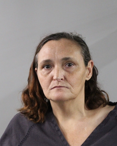 Booking photo of Tracy Sanchez