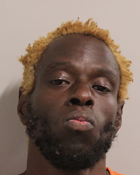 Booking photo of Roland Ervilus