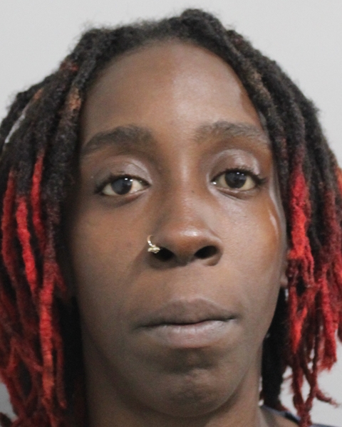 Booking photo of Derilia Rosius