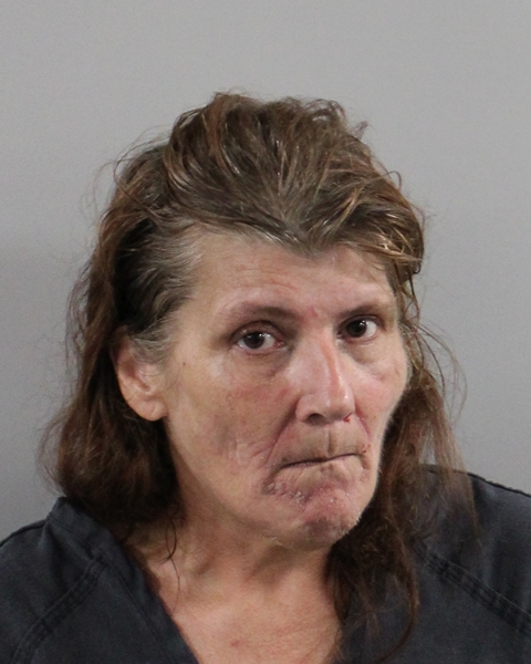 Booking photo of Elaine Bagy