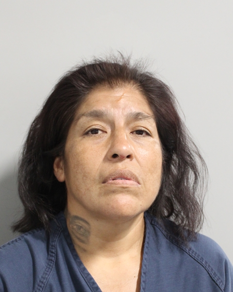 Booking photo of Maria Dominguez
