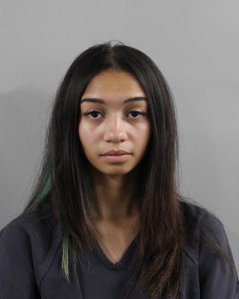 Booking photo of Jalessa Rosario