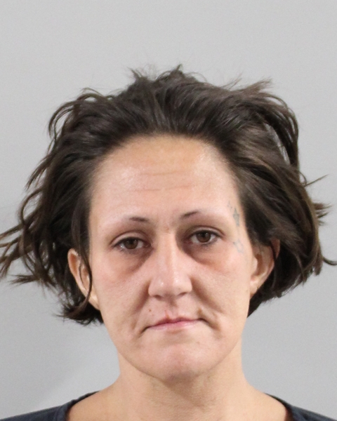 Booking photo of Kimberly Long