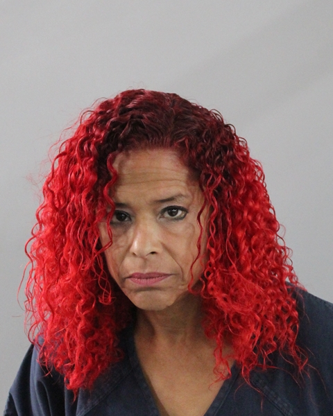 Booking photo of Vanessa Torres