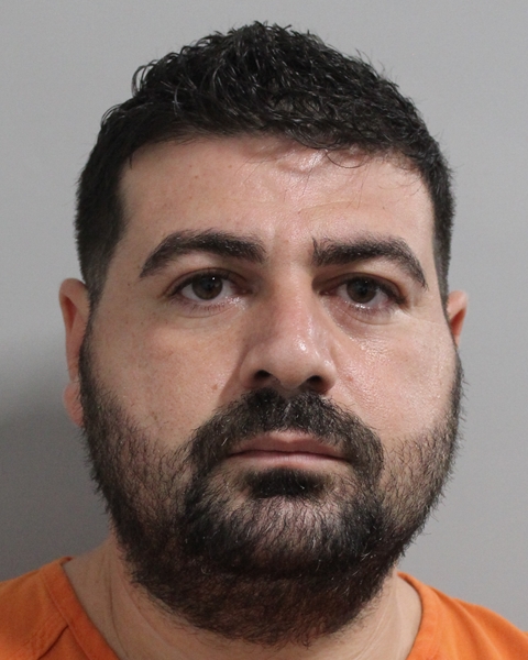 Booking photo of Deniz Ertane
