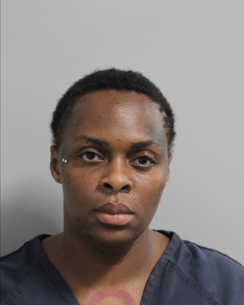 Booking photo of Apalonia Brimmer