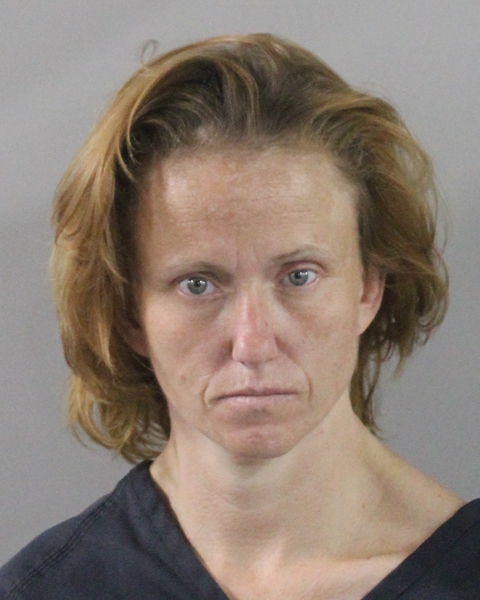 Booking photo of Lisa Williams
