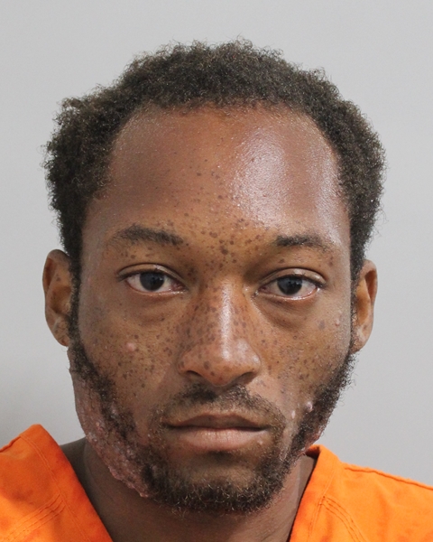 Booking photo of Tyler Lowe