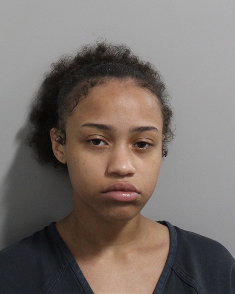 Booking photo of Anisja Scott