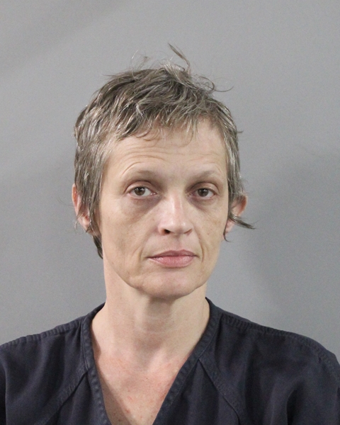 Booking photo of Amanda Lamon