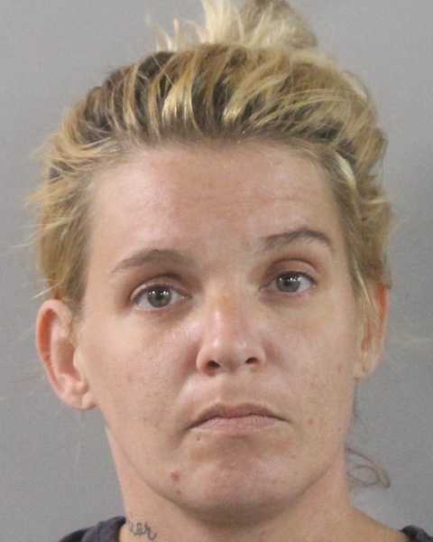 Booking photo of Amanda Lewton