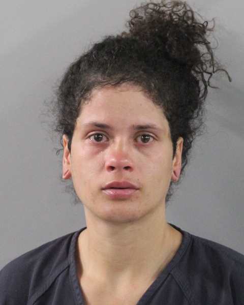 Booking photo of Dayanara Rios