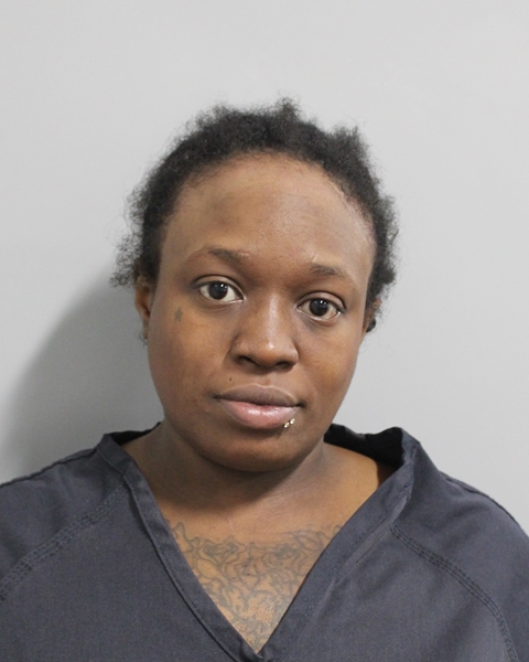 Booking photo of Camry Hunter