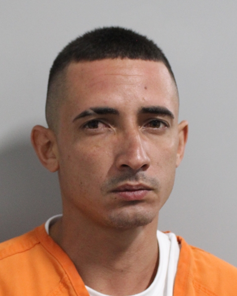 Booking photo of Roshan Rivera